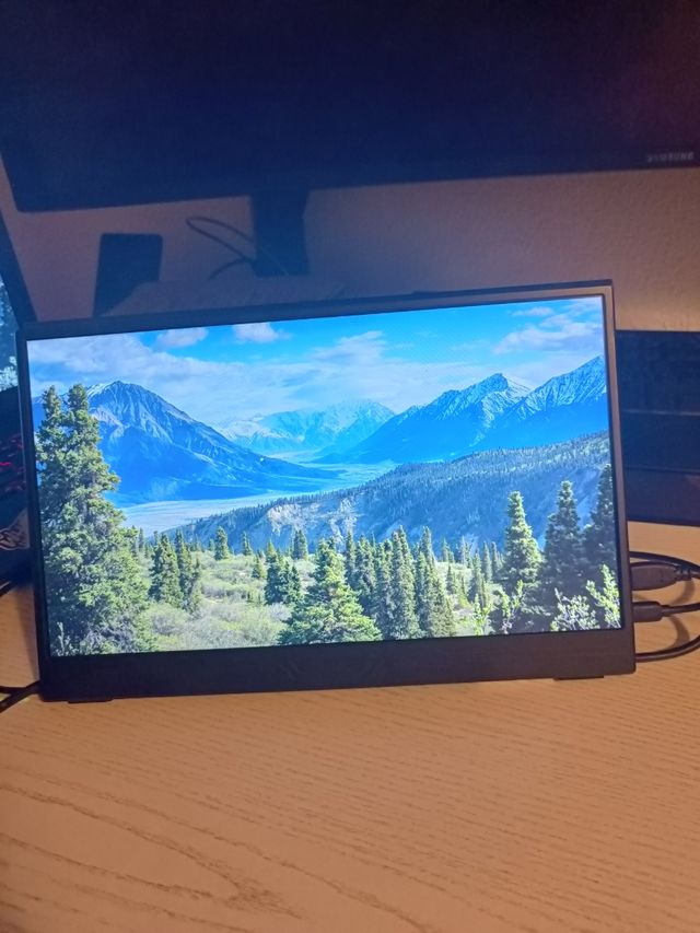 Mosquitera magnética para puerta