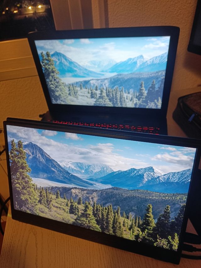 Mosquitera magnética para puerta