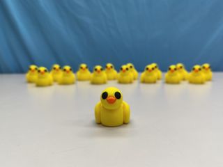 Mini duck