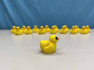 Mini duck