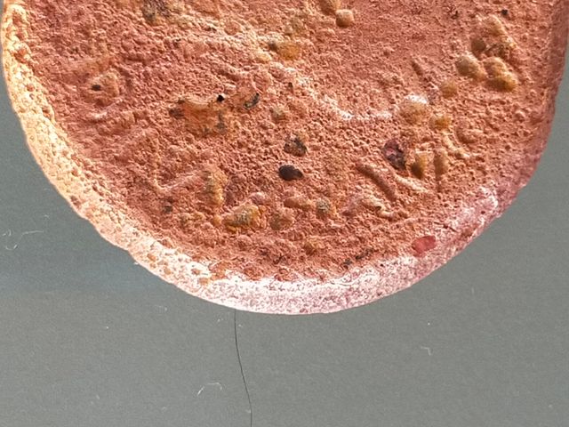 Moneda romana cesar augusto