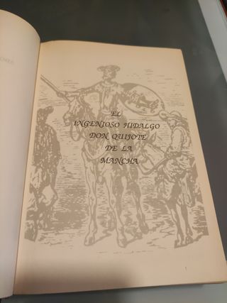 Don Quijote de la Mancha.
