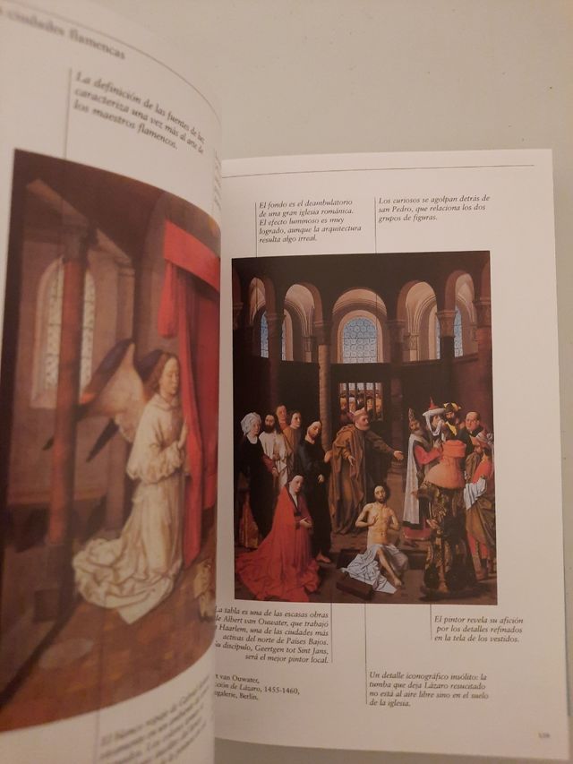 El Siglo Xv/ the XV Century (Dicc.arte) (Spanish Edition)