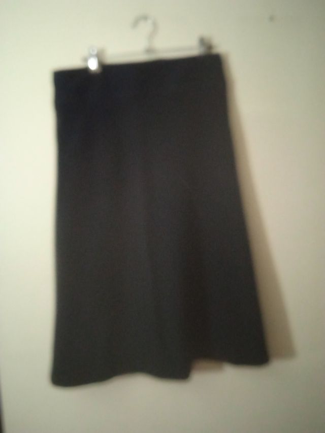 Falda Zara terciopelo T- 40.