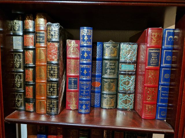 Colección libros clásicos + estantería