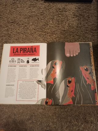 Animales superhéroes (El libro Océano de…) (Spanish Edition)