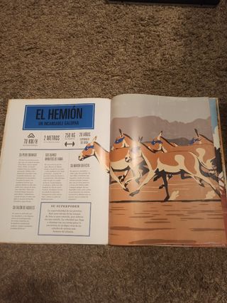 Animales superhéroes (El libro Océano de…) (Spanish Edition)