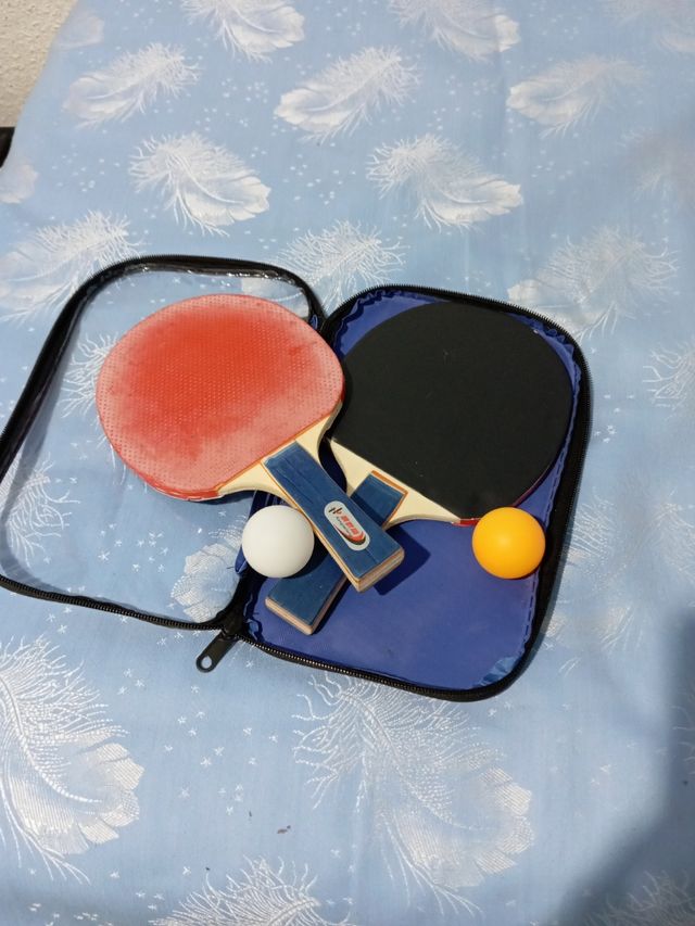 Palas de ping pong