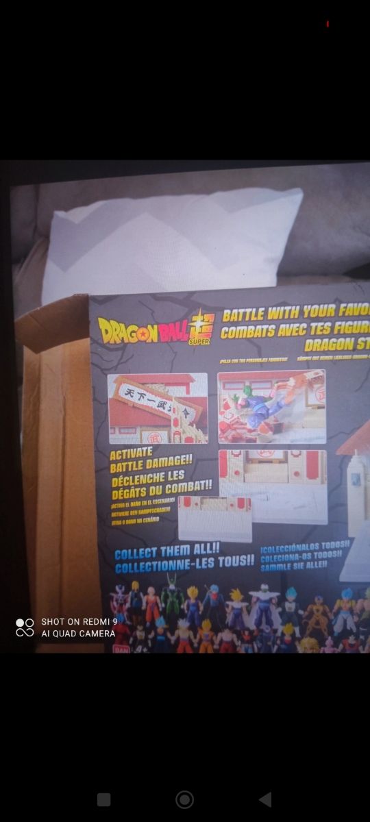 Escenario combate dragón ball