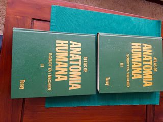 Atlas de anatomía humana Sobotta