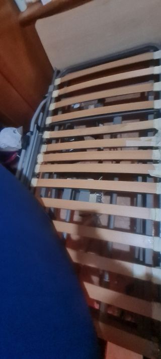 Cama electrica