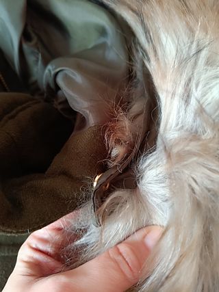 Chaqueton corto,cazadora pelo Zara