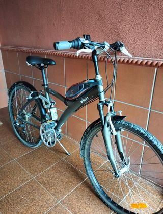 Bicicleta paseo