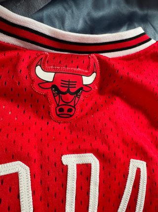 Camiseta Nike Jordan Bulls Michael Jordan antigua.