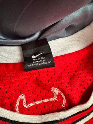 Camiseta Nike Jordan Bulls Michael Jordan antigua.