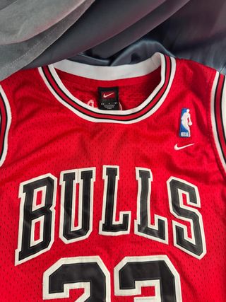 Camiseta Nike Jordan Bulls Michael Jordan antigua.