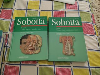 Sobotta Atlas de Anatomia Humana - Tomo 2 (Spanish Edition)