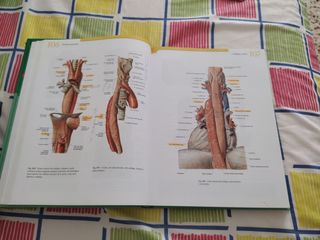 Sobotta Atlas de Anatomia Humana - Tomo 2 (Spanish Edition)