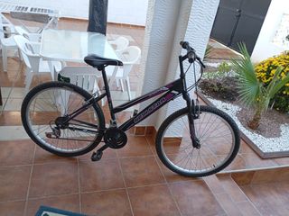 Bicicleta Mountain Bike NewStar