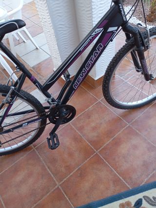 Bicicleta Mountain Bike NewStar