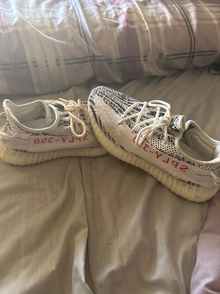 Yeezy zebra 350