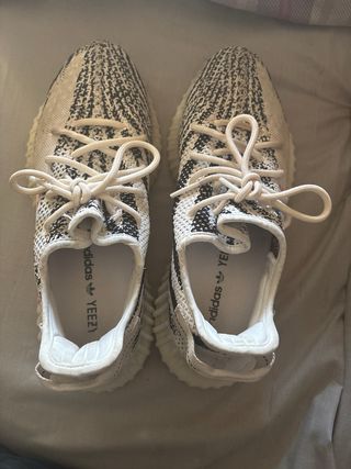 Yeezy zebra 350