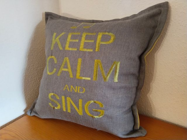 Lote 5 Fundas Cojín