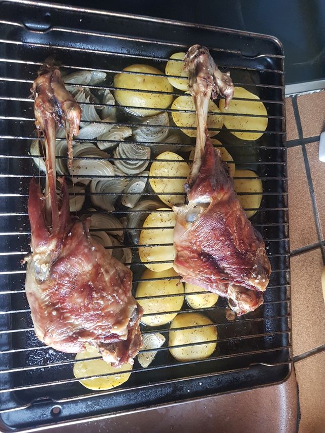 Cocinero para romerias, ferias, paellas, etc