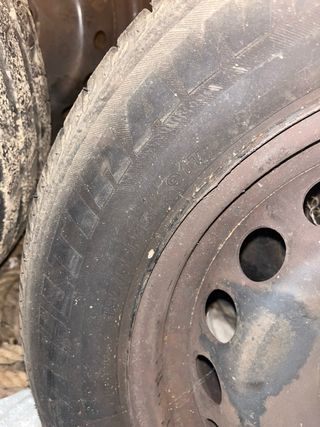 Ruedas 195/65 R15 montadas megane 3
