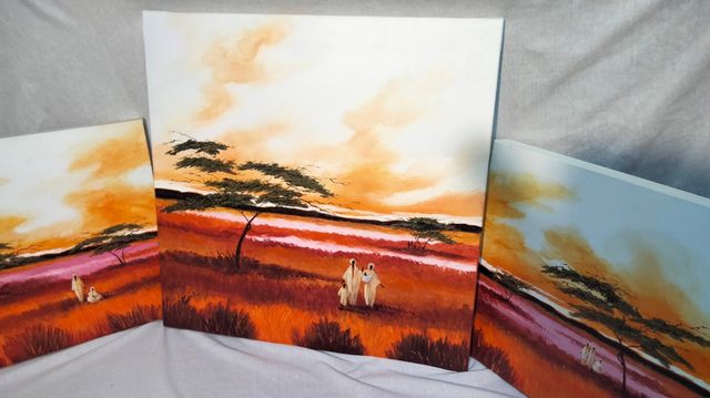 Dipinti su tela (Trittico) Le 3 X 35€.