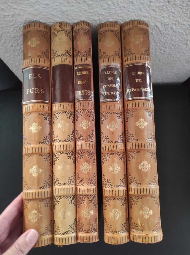 Libros.Els furs de Valencia