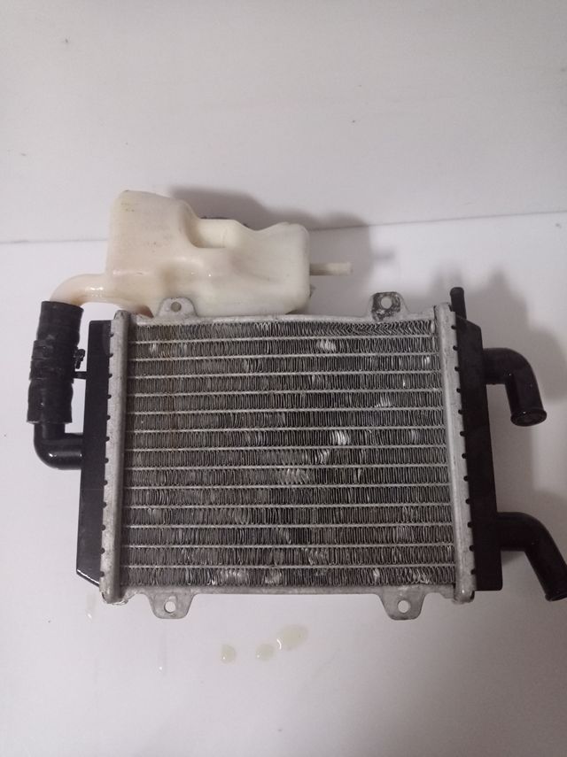 Radiador y bote de expansión