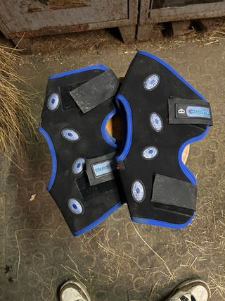 Paragarretti Magnetik Hock Veredus