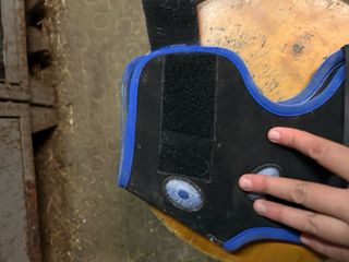 Paragarretti Magnetik Hock Veredus