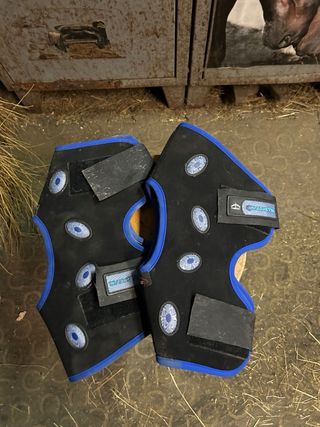 Paragarretti Magnetik Hock Veredus