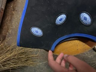 Paragarretti Magnetik Hock Veredus