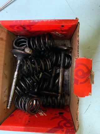 Valvulas y muelles de culata 1.9 tdi