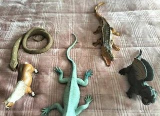 Lote de Animales y Dragones