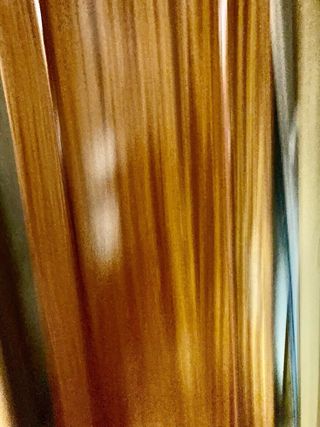 Puerta Sapelly 71,5 × 2 m 2 cm