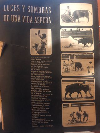 LOTE REVISTAS TOROS