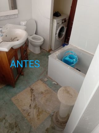 Manitas en Zaragoza 