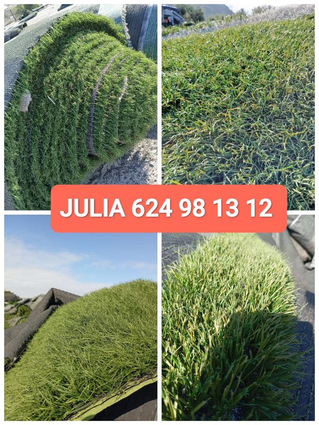 🌱Césped reciclado artificial🌱