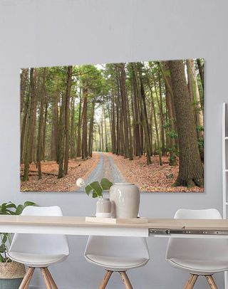 Camino por el Bosque. Cuadro/Lienzo (sin bastidor)