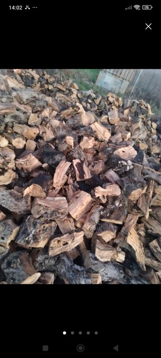 leña de olivo