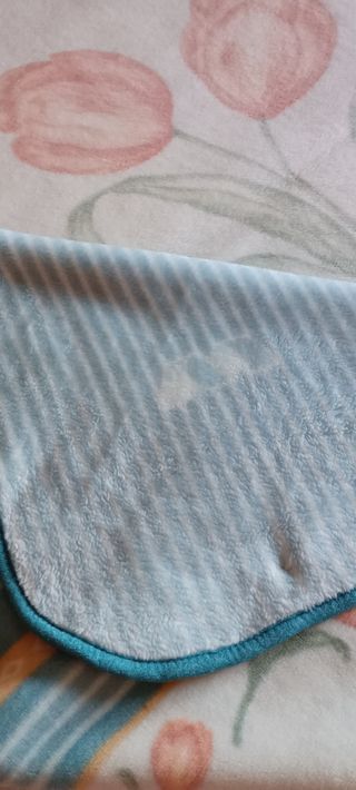 Manta