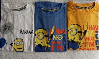 Lote camisetas 11-12 años niño.