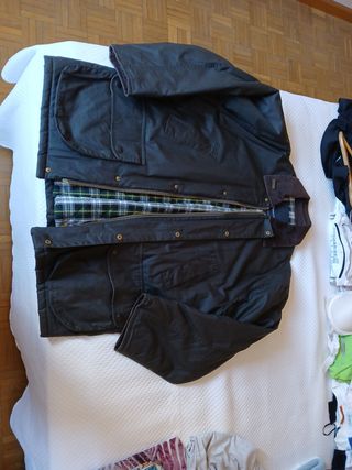 Parka caballero Forecast