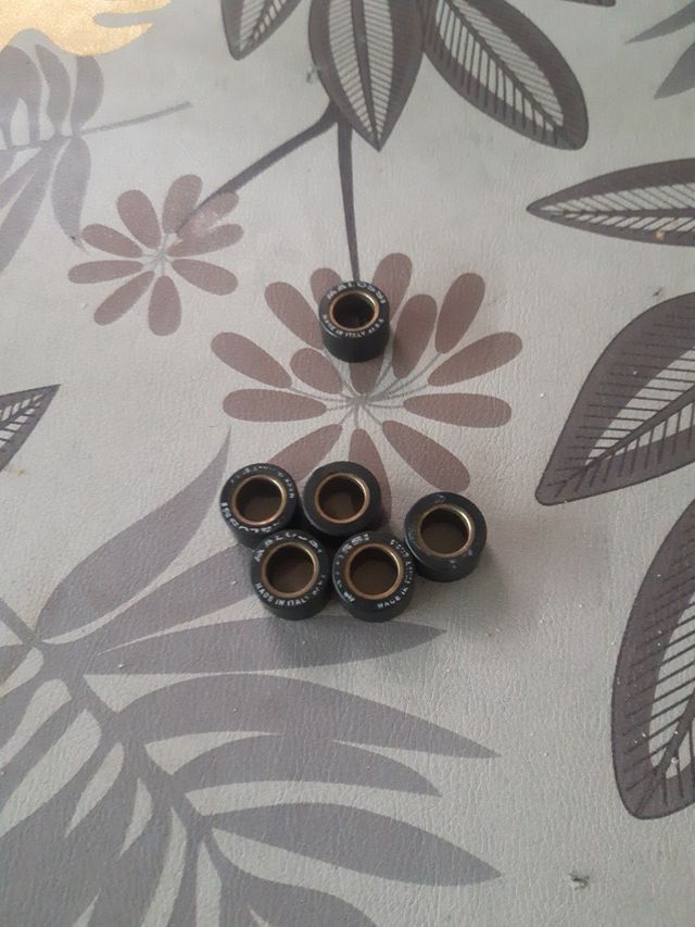 Rodillos malossi x max