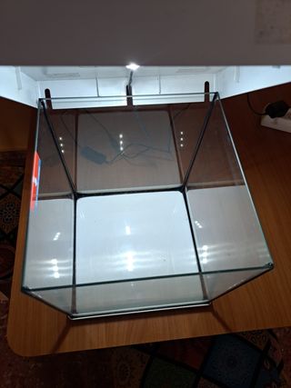Acuario 20 litros