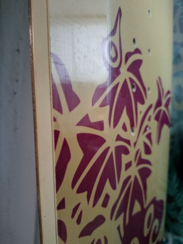 Tabla SNOW Decathlon con funda nueva  de regalo.